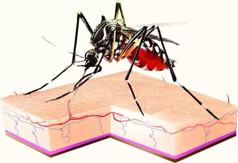 Assam sees surge in malaria cases as monsoon arrive early