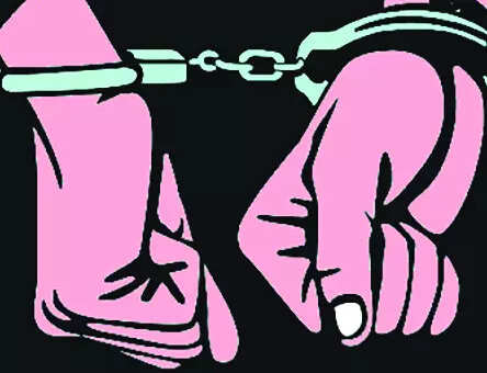 BJP functionary from Aldona involved in Moira assault: Cong