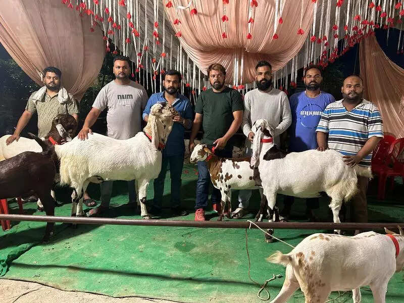 Ahead of Eid-ul-Azha, goat markets bloom with buyers