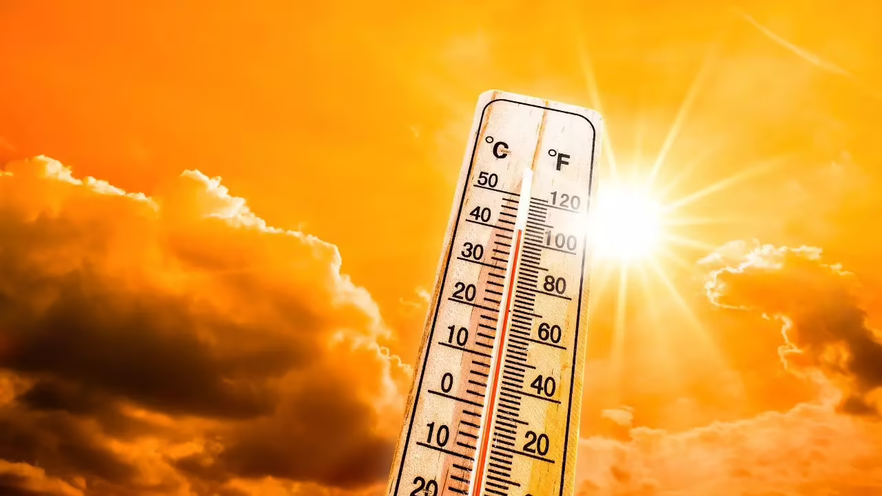 India's annual mean temperature rise up from 25.05°C in 2001 to 25.74°C in 2024, Electricity generation from renewable sources increased more than three times in 10 years