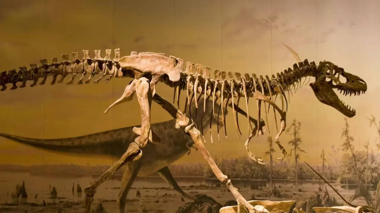Dinosaurs had cancer 70 million years ago, new study offers clues for cancer treatment
