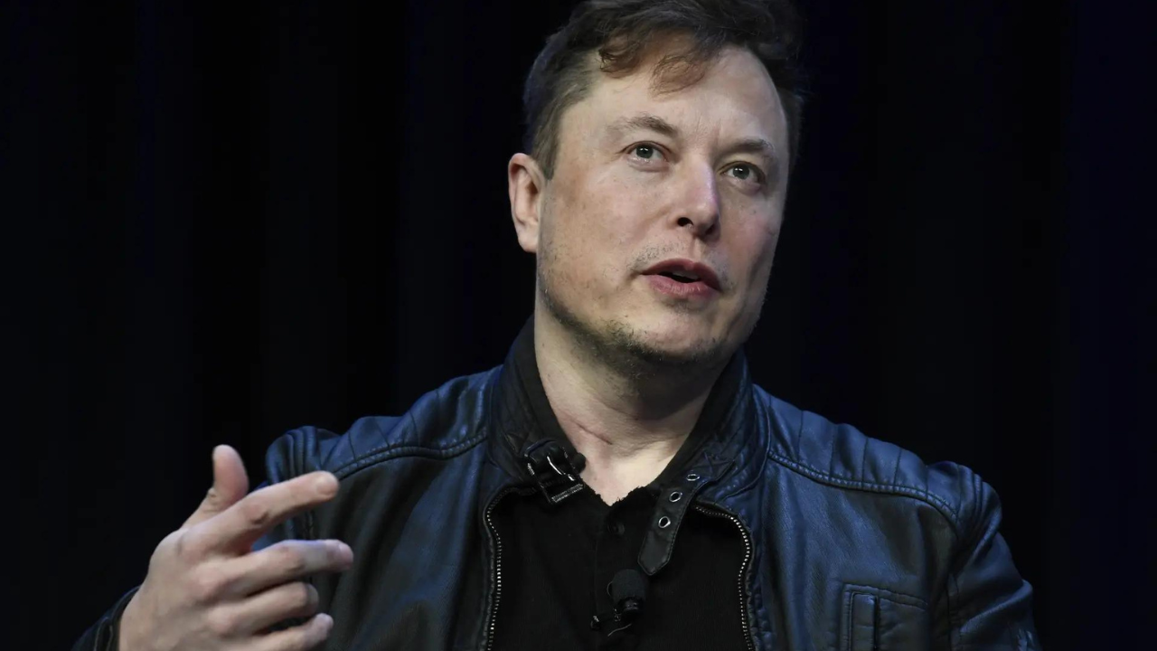 'Trees Not Tesla': Australian city's protest ignites a war over environment- and Elon Musk
