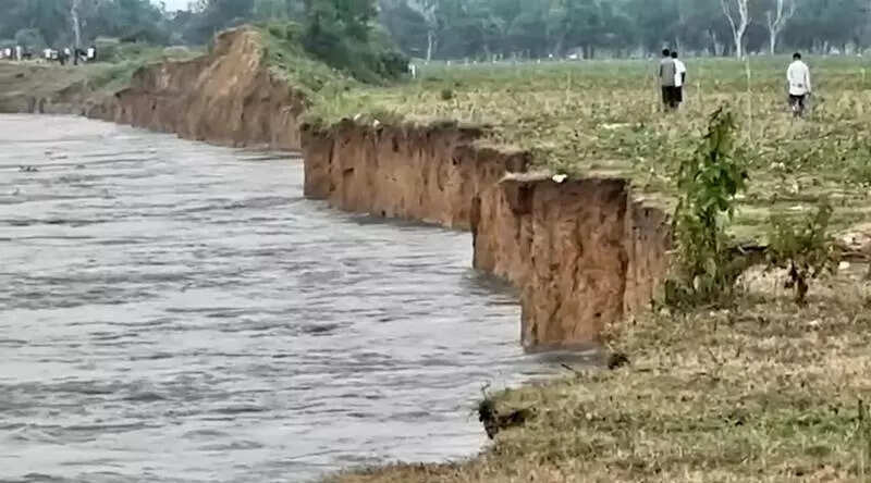 Brahmaputra’s relentless erosion threatens tea estate, farmland at Chabua