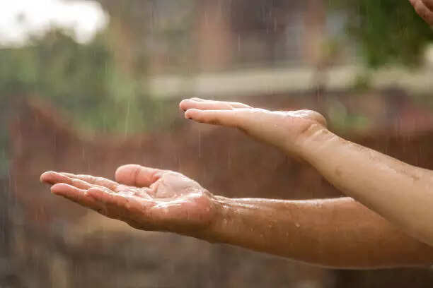 istockphoto-980072038-612x612