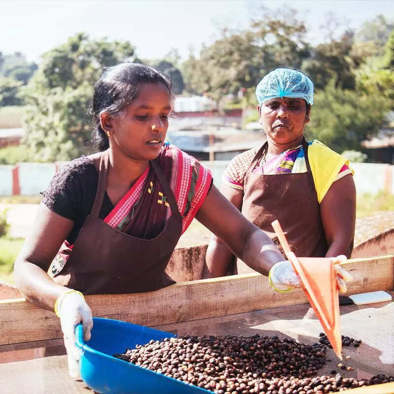 NITI Aayog includes Koraput Coffee under ‘vocal for local’ campaign