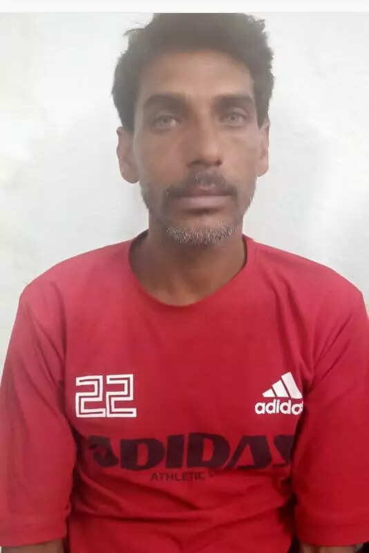 msid 121700363,imgsize 13612 https://jaipur.visitinrajasthan.com/wp-content/uploads/2023/10/cropped-cropped-R-2.png