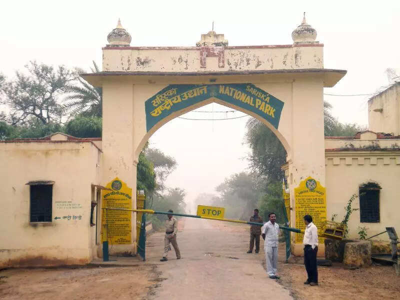 msid 121700385,imgsize 47082 https://jaipur.visitinrajasthan.com/wp-content/uploads/2023/10/cropped-cropped-R-2.png