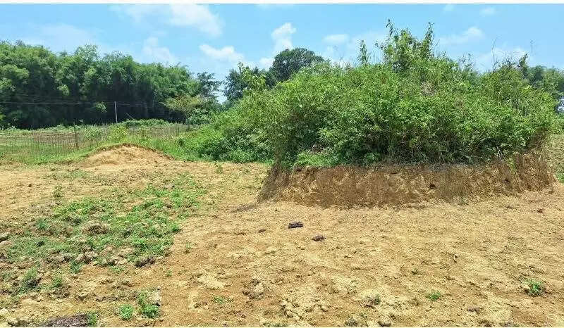 Ahom-Era guerilla warfare training site in Charaideo encroached