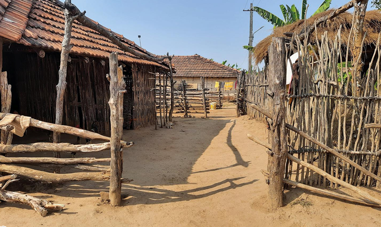 In an attempt to protect endangered bats, Karnataka to relocate locals from bordering village of Talewadi