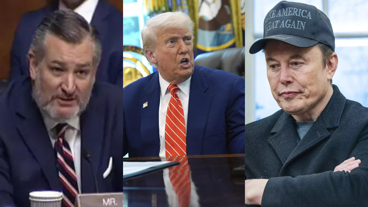 ‘Trump was pissed’: Ted Cruz on Musk's 'venting'; says he ‘felt like kids of divorce wishing mommy and daddy would stop screaming’