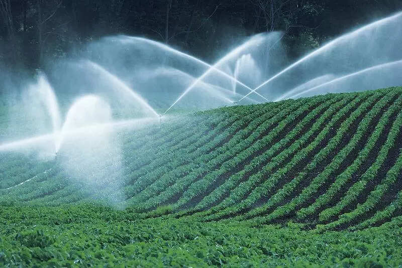 UP govt adds 19L hectares of irrigation capacity with 29 projects in eight years