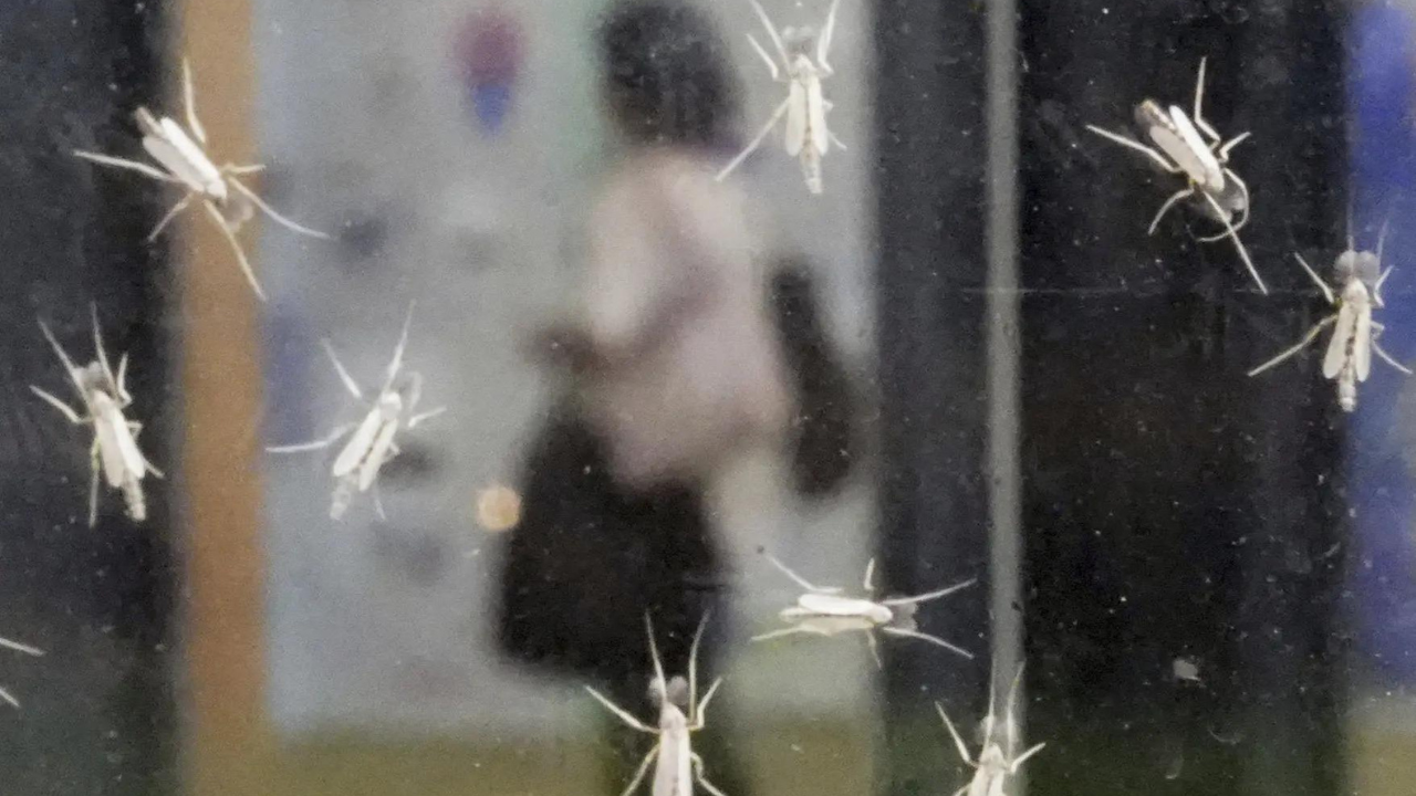 Japan's Osaka Expo temporarily suspends water shows after high levels of bacteria detected