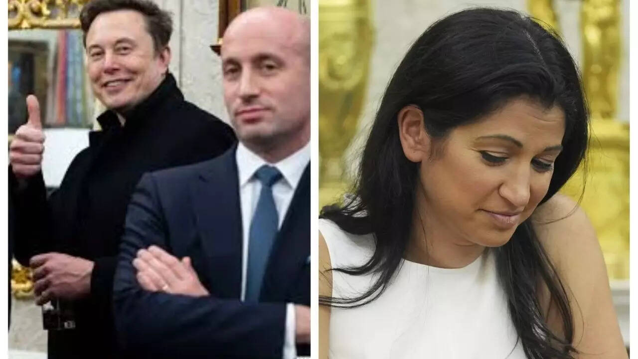 Did Elon Musk confirm he 'took' Stephen Miller's wife Katie Miller? Viral screenshot shot down