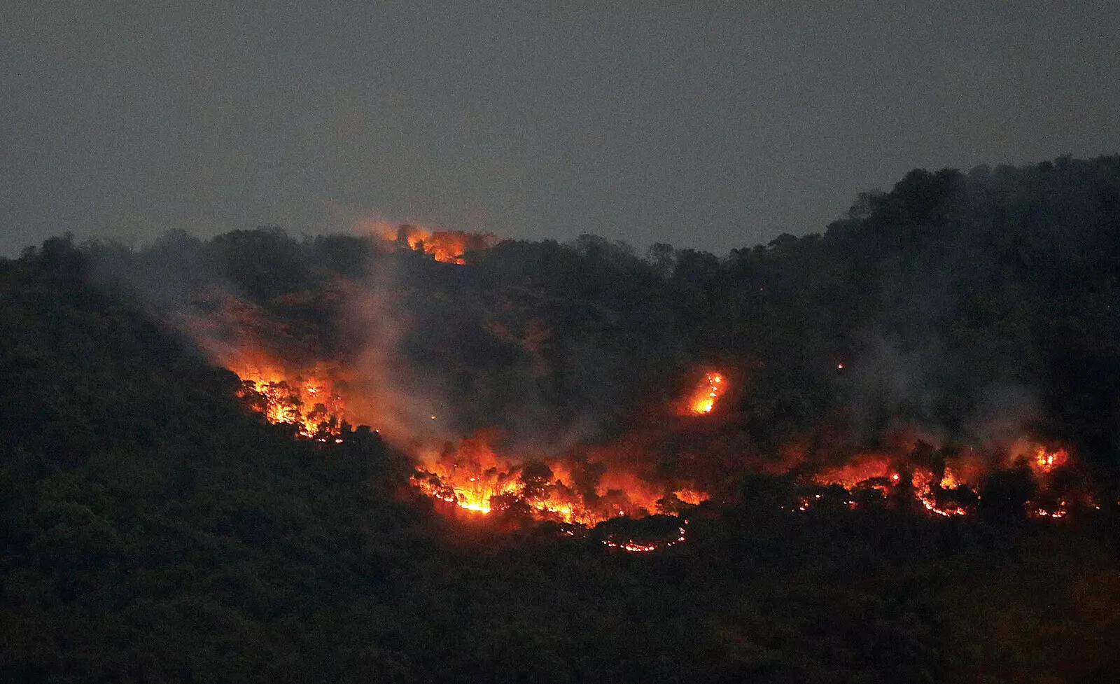 Forest dept, BITS tie up to devise an early warning system for fires in Goa