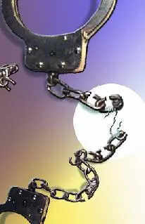 3 in custody for attacking man outside Bengaluru pub