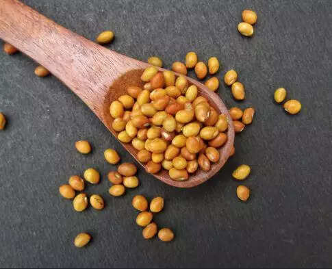 ICRISAT scientists develop heat tolerant pigeon pea cultivar for year round cultivation