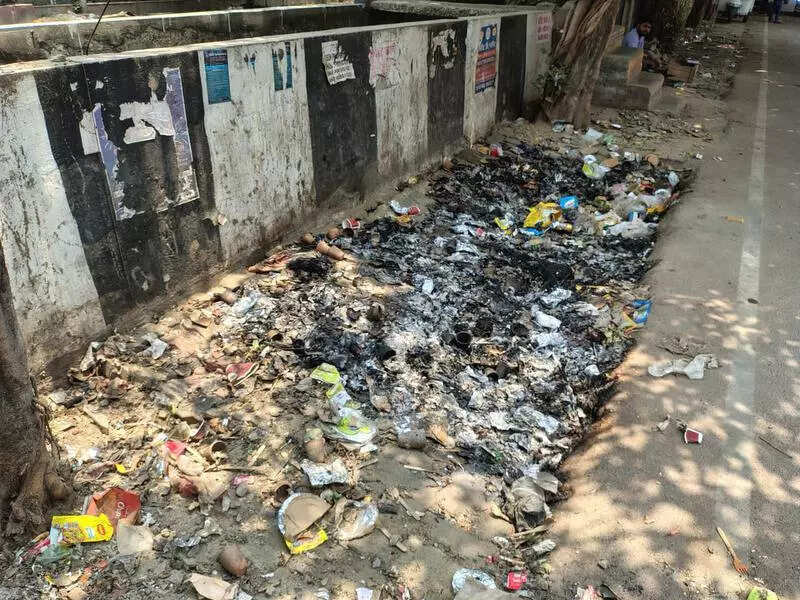 Garbage not being taken from homes, dumped on roads