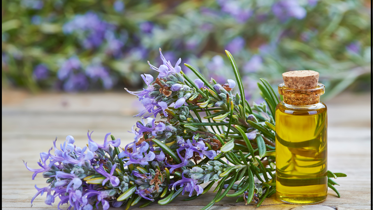 Does Rosemary aroma really improve memory? Here’s what research says