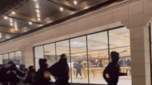 LA riots: Masked looters ransack Apple store, flee with merchandise - Video