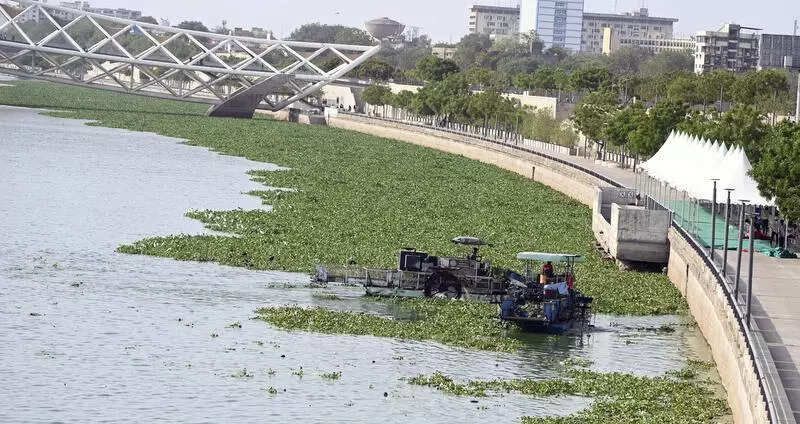 Before jal yatra, AMC tackles weed problem