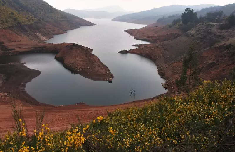 Upper Bhavani Project Has Minimum Impact on Environment- Expert Panel