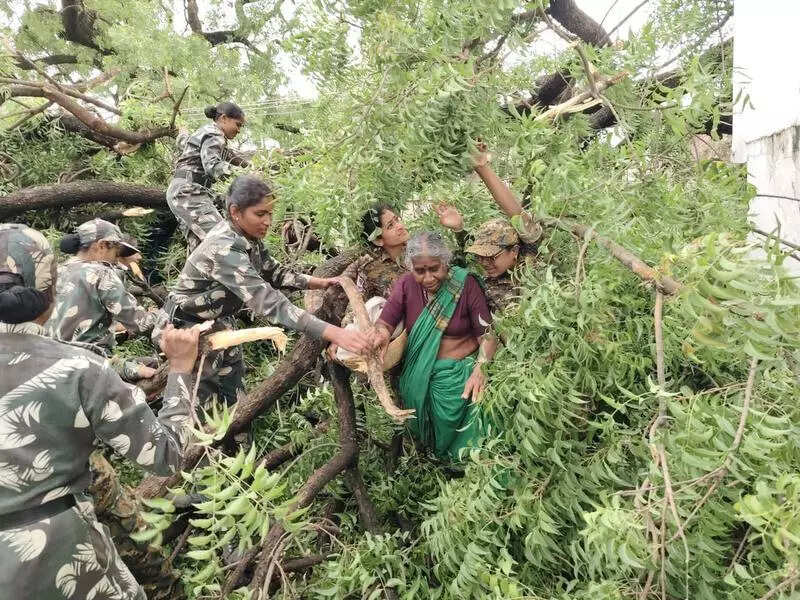Team Shivangi clears fallen trees in rain-hit areas