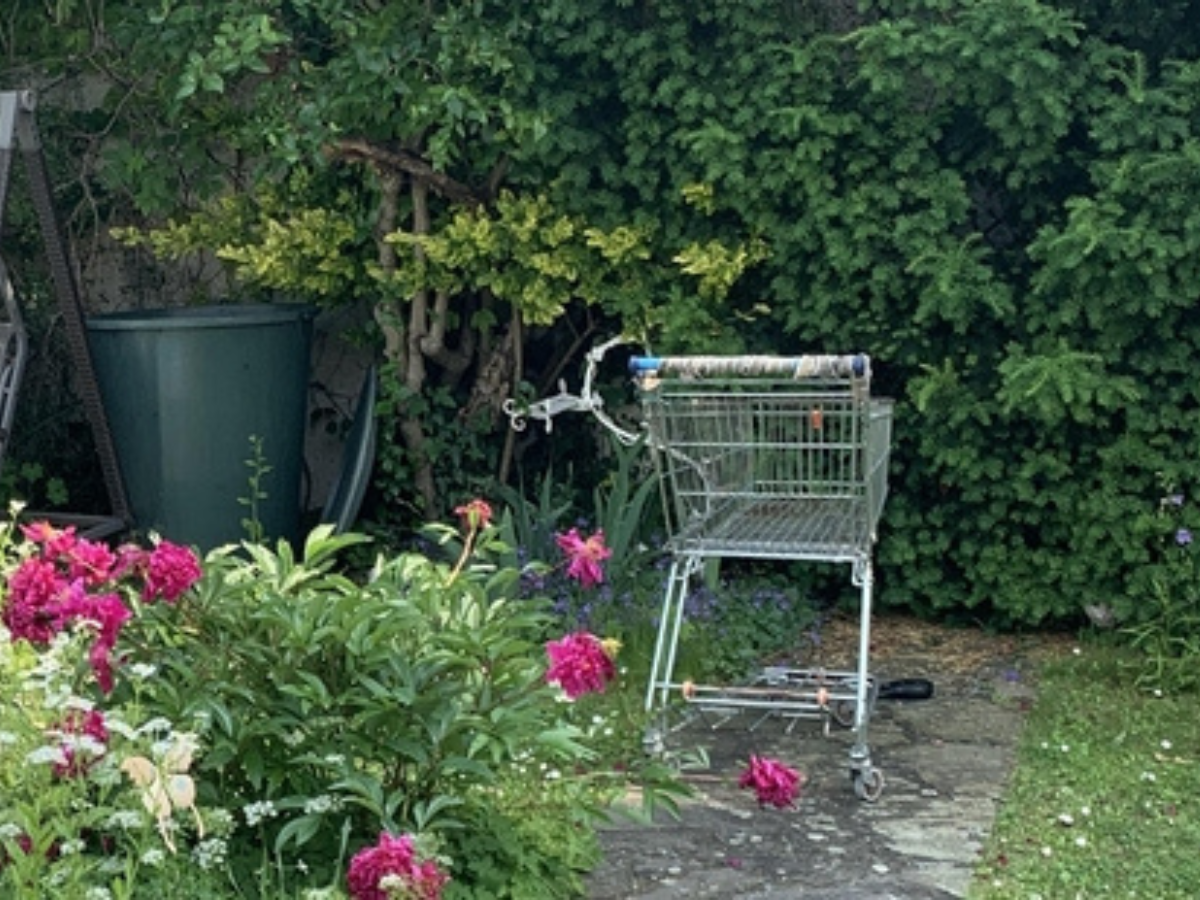 A garden