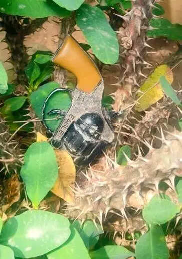 Cracker pistol found in flowerpot near Karnataka labour minister’s office in Bengaluru