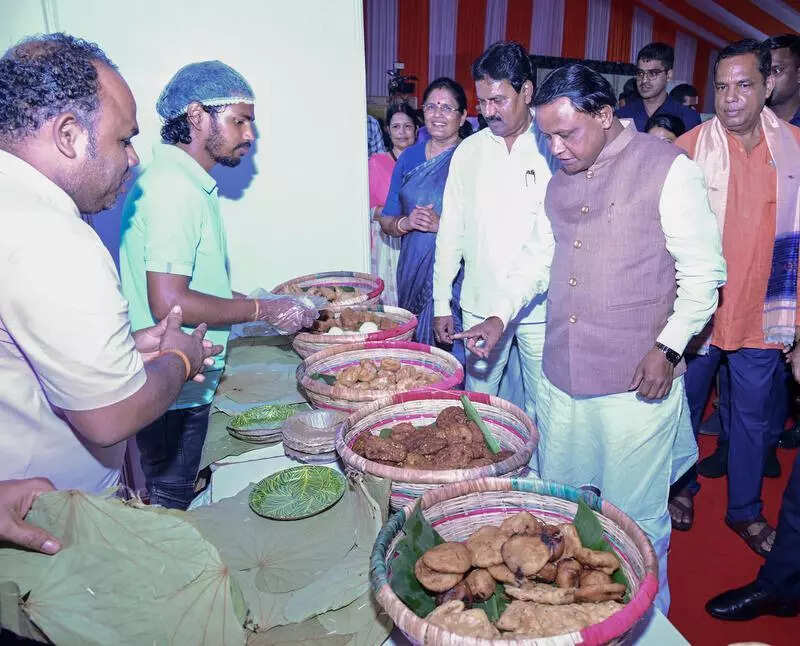 Govt marks first anniversary with Vikas Mela