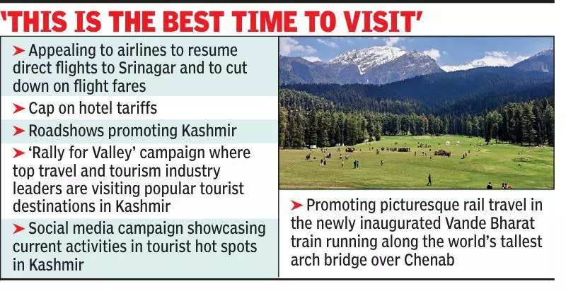 ‘Resume direct flights, reduce hotel tariffs to revive tourism in Kashmir’