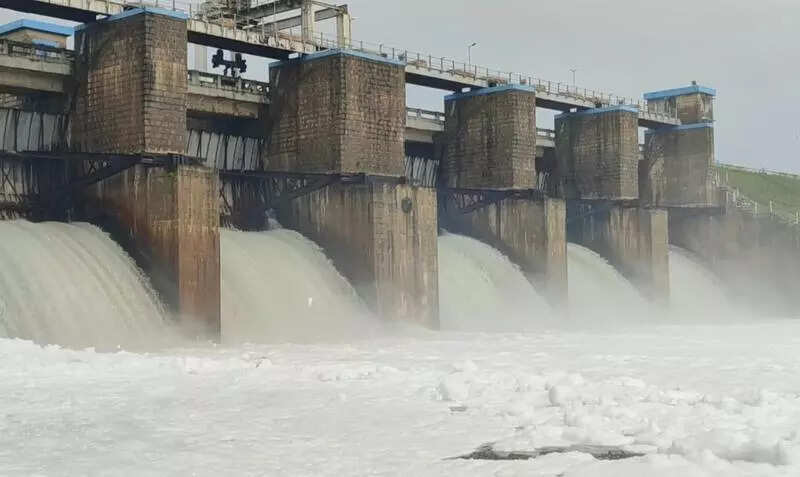 How a river dies: Thenpennai, Tamil Nadu's Second-Longest River, Is Killing Crops, Fish, And Is Too Polluted To Use