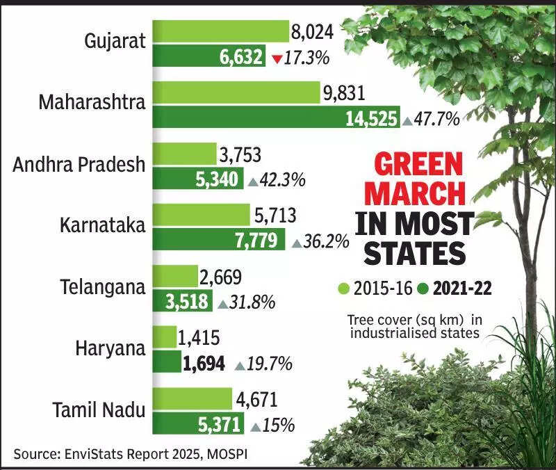 Gujarat’s tree cover records 17% decline over six years