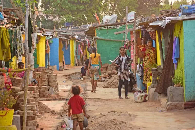 Plantation drive planned after survey flags green concerns