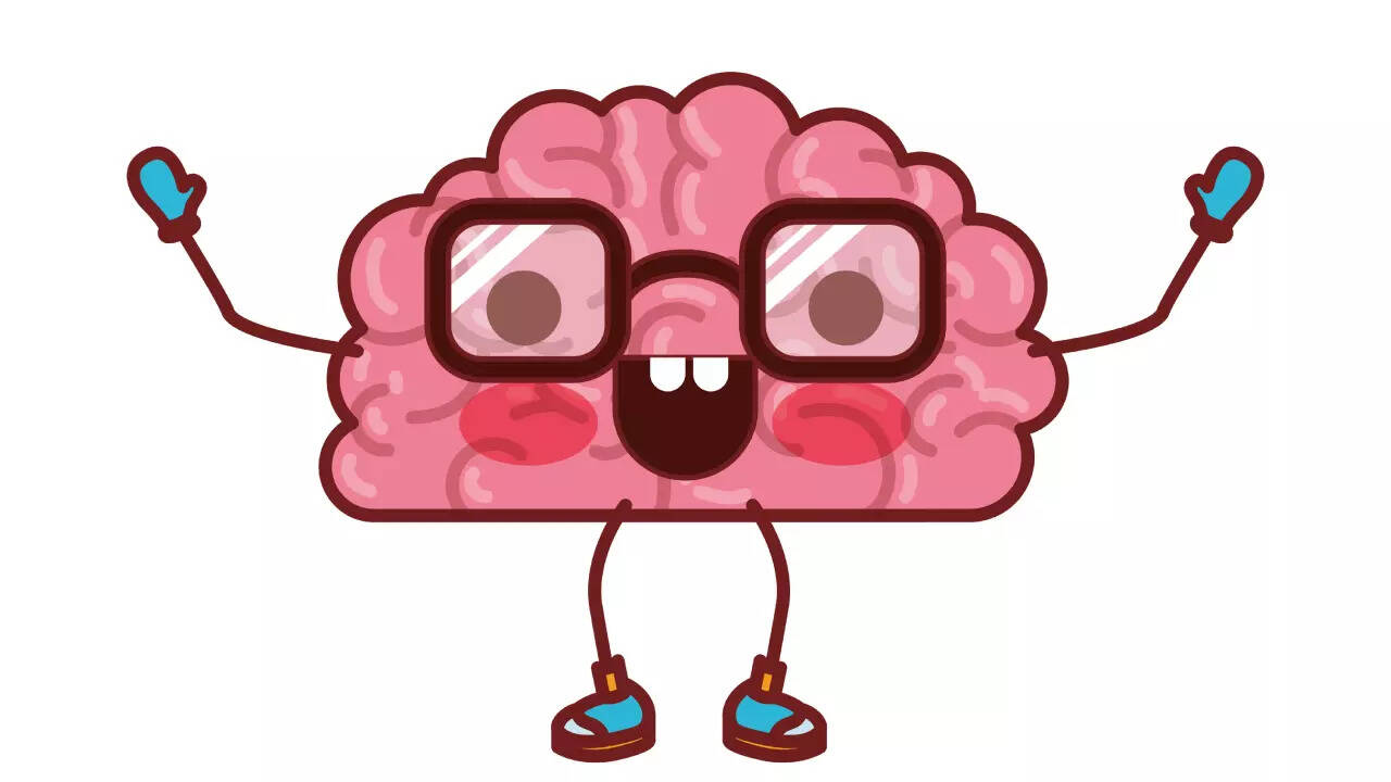 brain