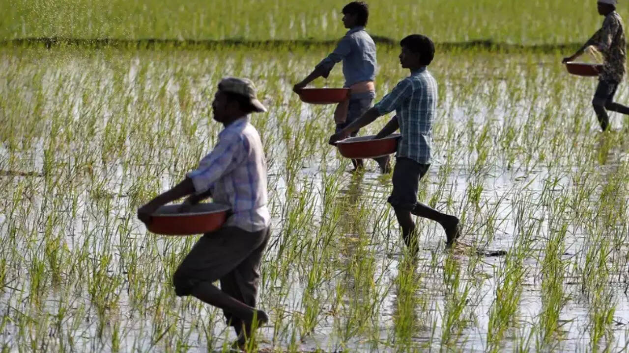 PM-Kisan 20th instalment: When is the next payment date in June; check beneficiary status