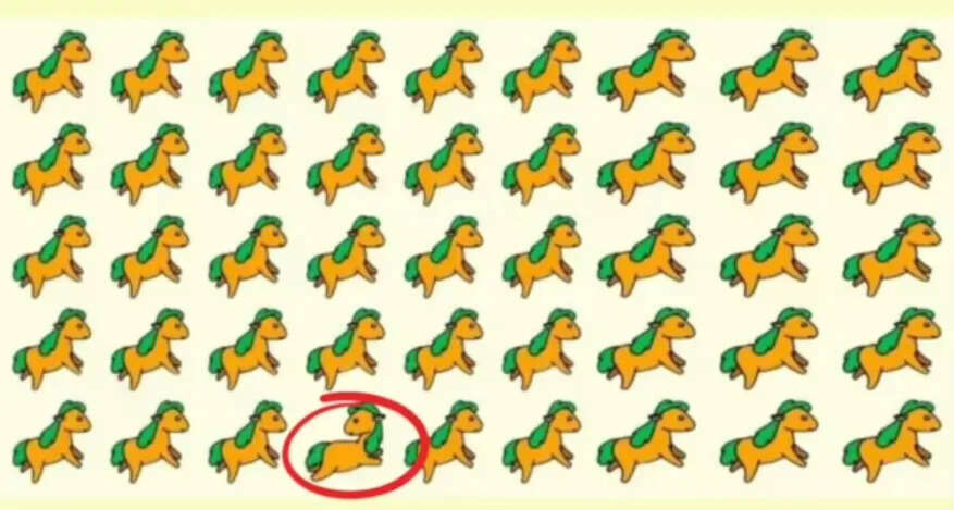 optical illusion