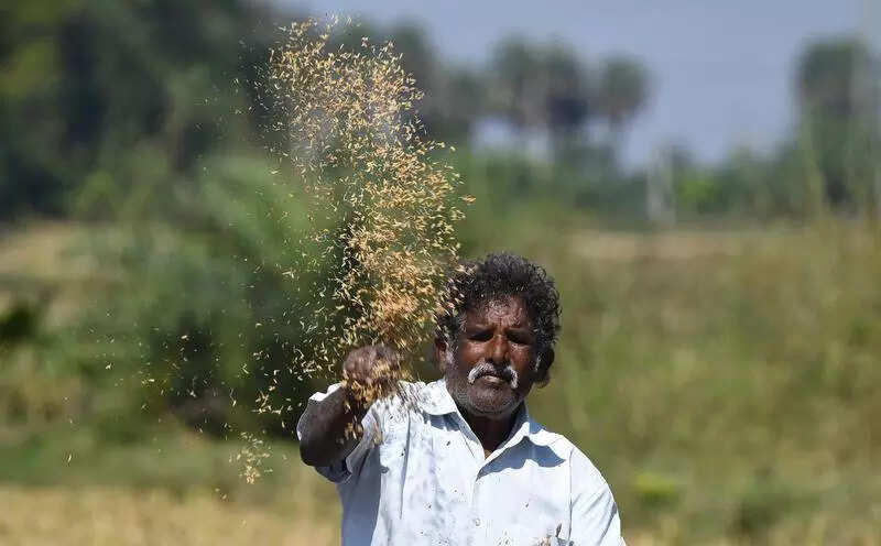 Telangana to bar spurious seed ‘organisers’ under new law