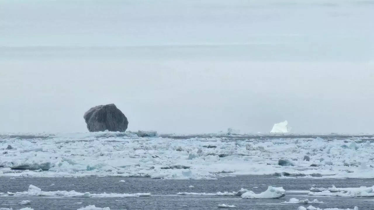 Rare black iceberg spotted in Canada stuns scientists with its mysterious dark hue