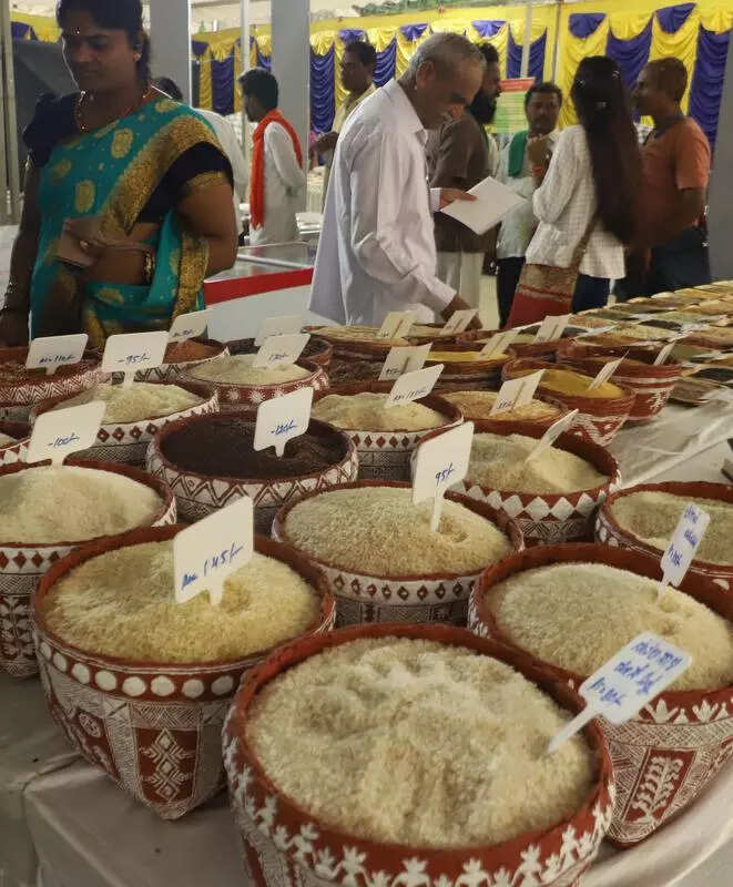 Millet Magic: How 3,000 farmers sowed life on parched lands in Karnataka