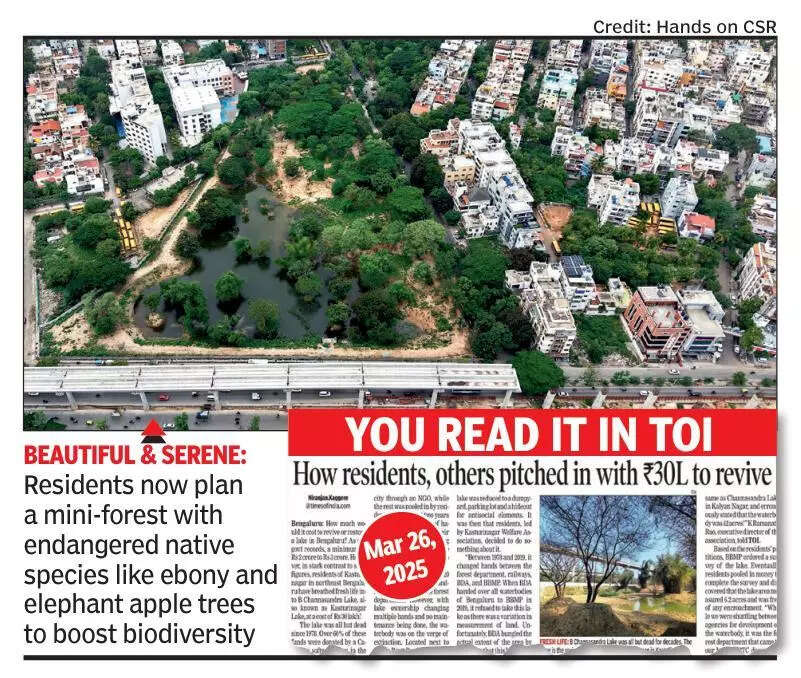 Citizens’ effort: Bengaluru’s B Channasandra Lake rejuvenated after 30 years of neglect
