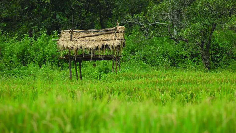 Chorao, Chandor, Bandora among five villages to be developed as tourism villages at Rs 2.5cr