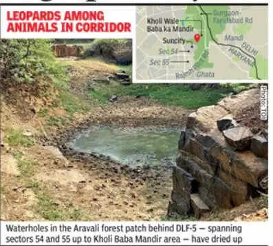 Aravali wildlife at risk: Watering holes drying upin Gurgaon