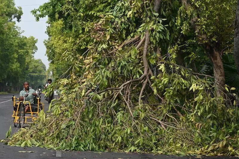 Met dept predicts rainy week ahead, Delhi may see early monsoon onset