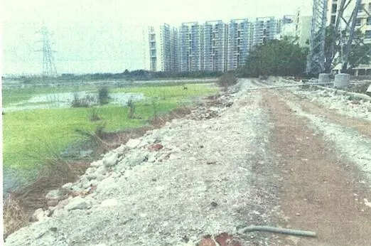 304 survey numbers found in Pallikaranai Marsh Ramsar site