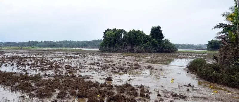 Agri minister on Aranmula project: Nothing will proceed outside the framework of existing laws