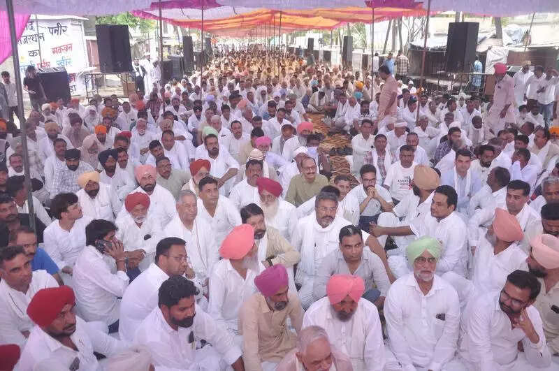msid 121893513,imgsize 69392 https://jaipur.visitinrajasthan.com/wp-content/uploads/2023/10/cropped-cropped-R-2.png