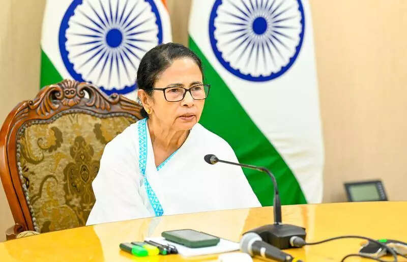 Didi blames ‘govt of thieves’ for ‘procession of deaths’