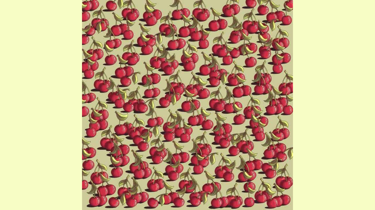 Optical Illusion: Only the one with the sharpest eyes can spot the tomato