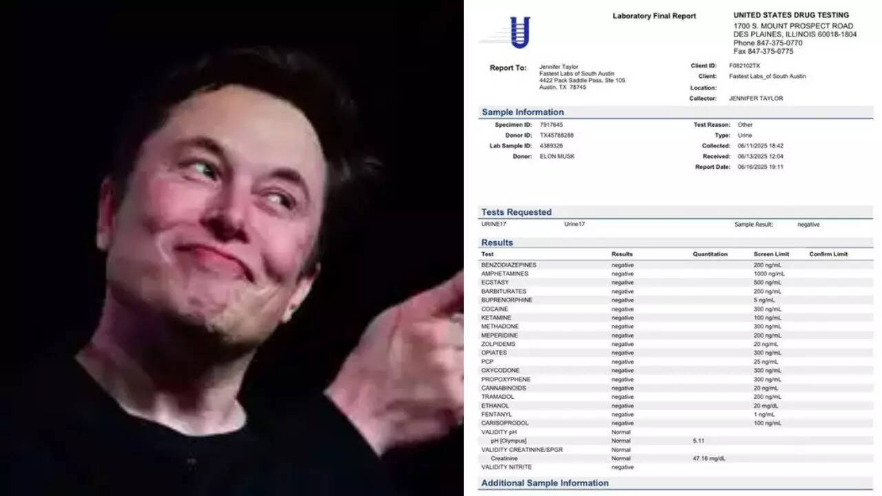 'They are guilty as sin': Elon Musk slams media companies; dares both 'to take drug tests & publish' after he tests negative