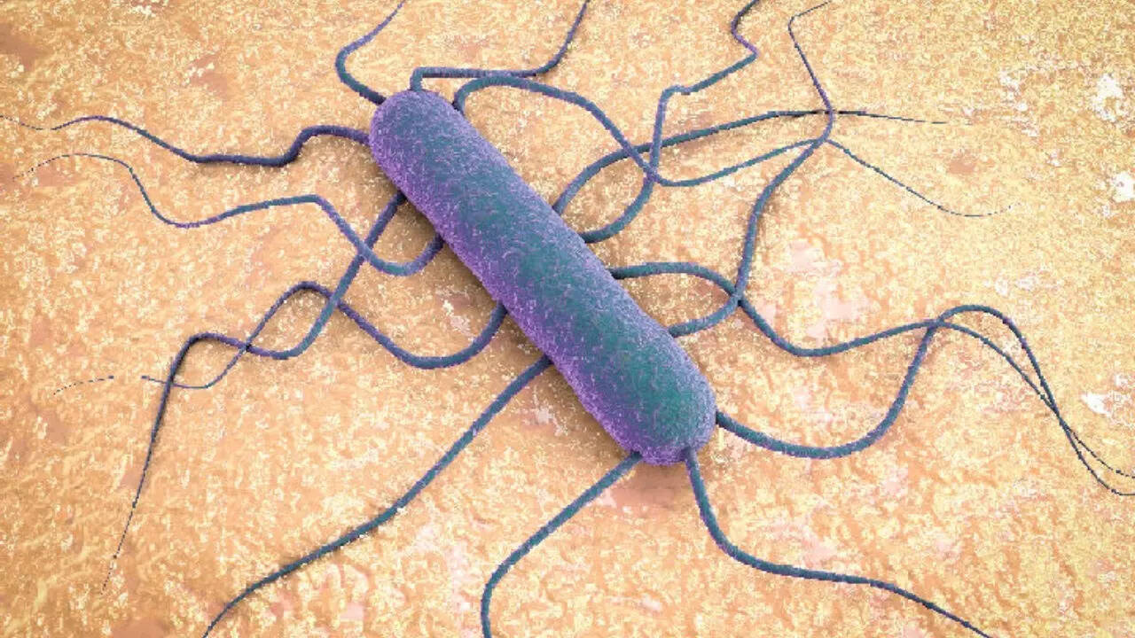 Listeria pasta (2)